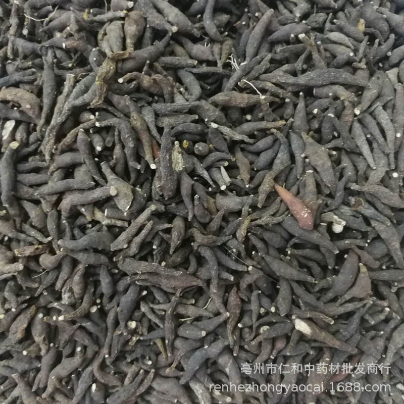 Dried Liang Tou Jian Root 500g Traditional Chinese Herb for Decoction and Herbal Soup quality and texture