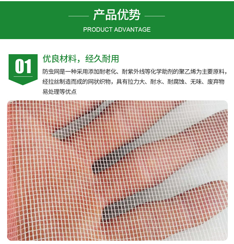 防虫网_04