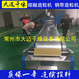 沥青造粒机 光稳定剂造粒机 石蜡钢带冷凝造粒机图片