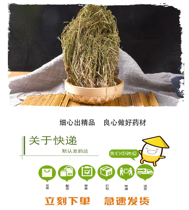 Bai Rui Cao (Thesium chinense) — Dried Whole Herb, New-Crop Clean Lot for Herbal Decoction quality and texture