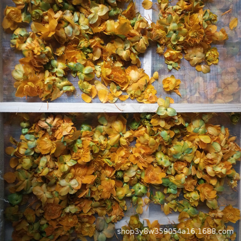 食品烘干机干燥设备金莲花烘干设备菊花箱式干燥设备茶叶烘干机