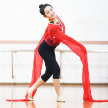 水袖渐变色古典京剧藏族水袖成人儿童练习古典惊鸿舞蹈表演服装