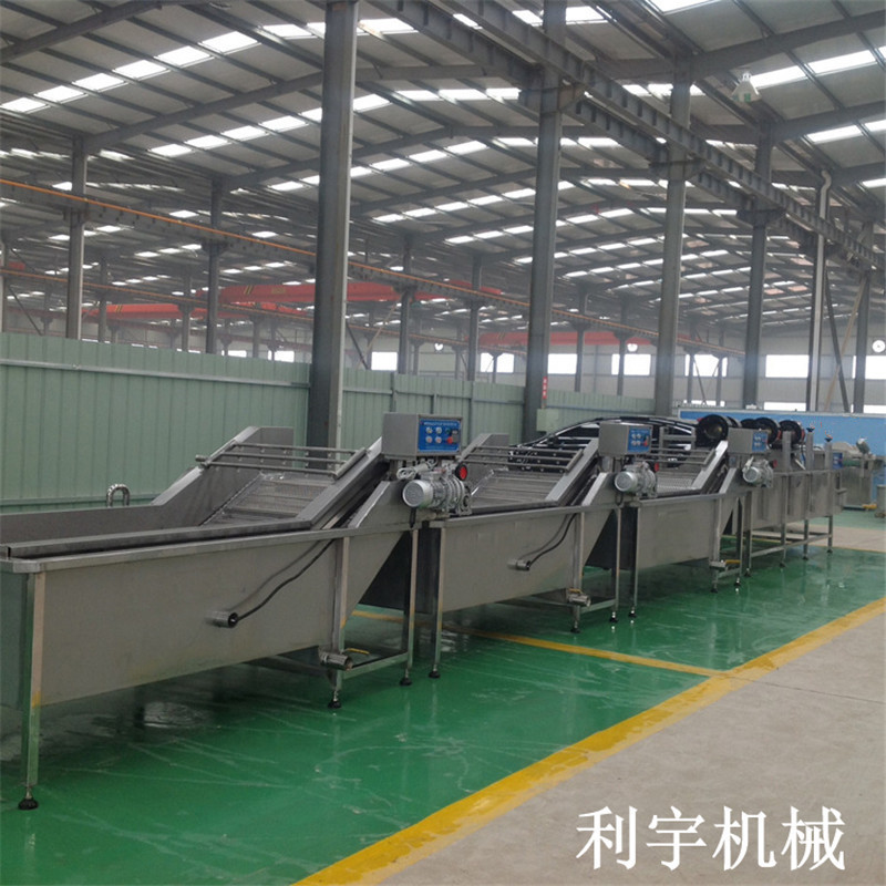 桑芽菜气泡清洗机桑叶清洗流水线果蔬清洗设备利宇机械自动清洗