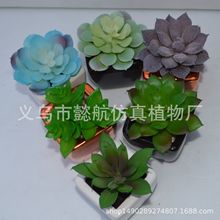 �������ֲ�� ��������辰 ���R�d���⻨�^ �����������