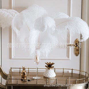 ���S���l�Ϸ��r�Bë45-50cm�֗U�r�Bë��ë����ë��ɫ�r�B��ë