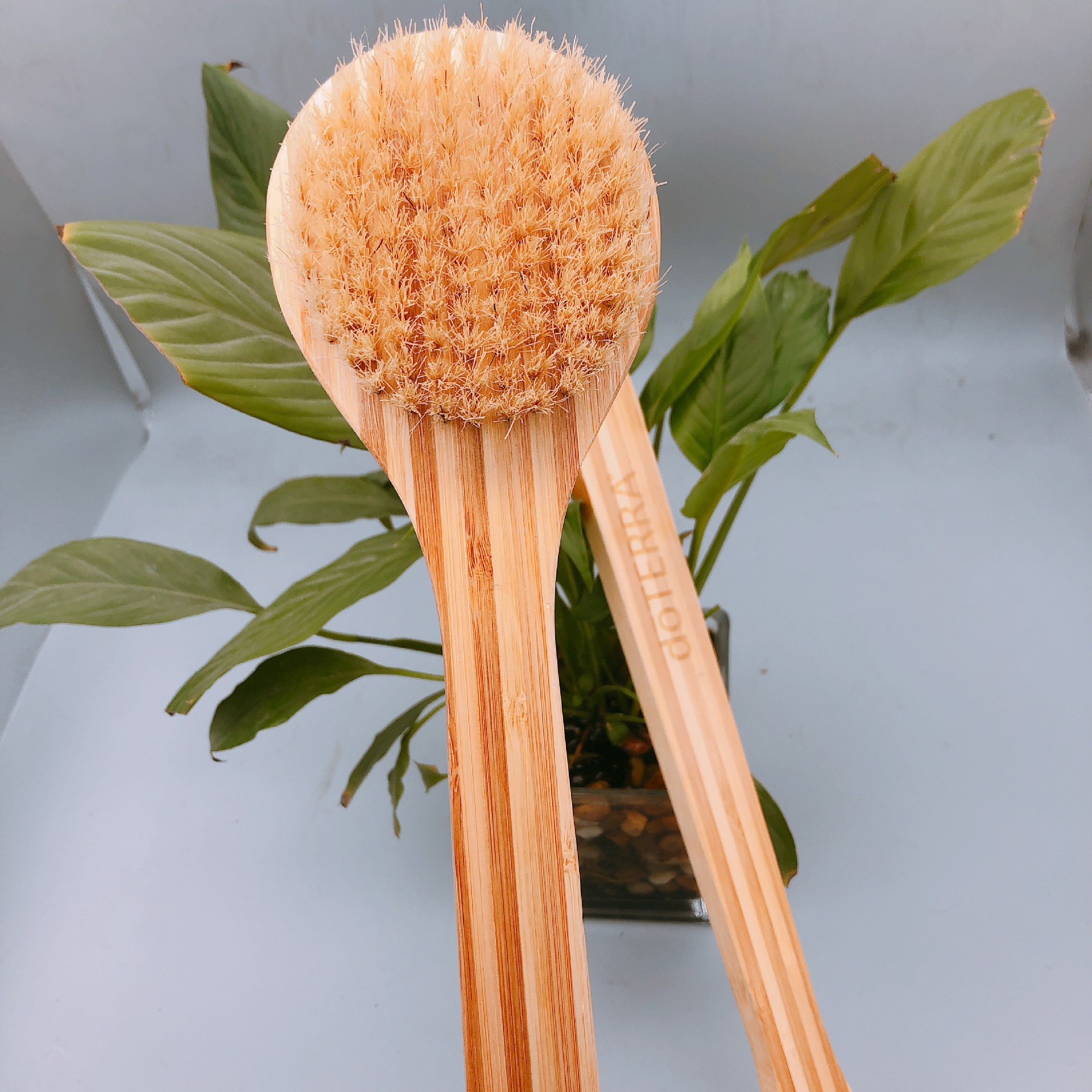 44a4cffd6296aed316689c45fcd82d