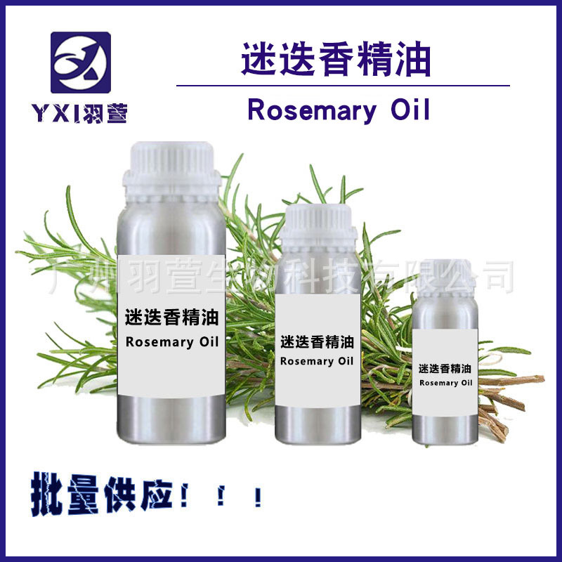 迷迭香精油 单方精油 天然精油 Rosemary Oil 植物香料全场包邮
