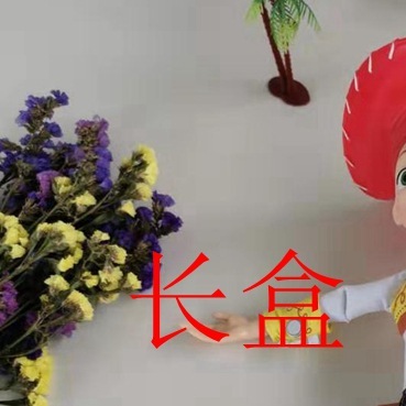 玩具*动员翠丝发音说话款男孩儿女孩儿儿童玩具|ms