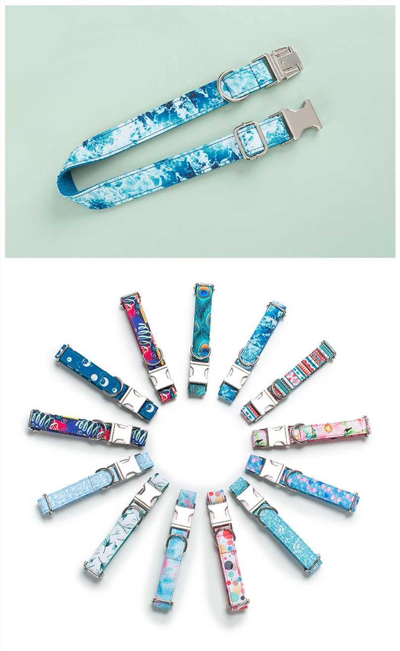 pet collar leash (15)