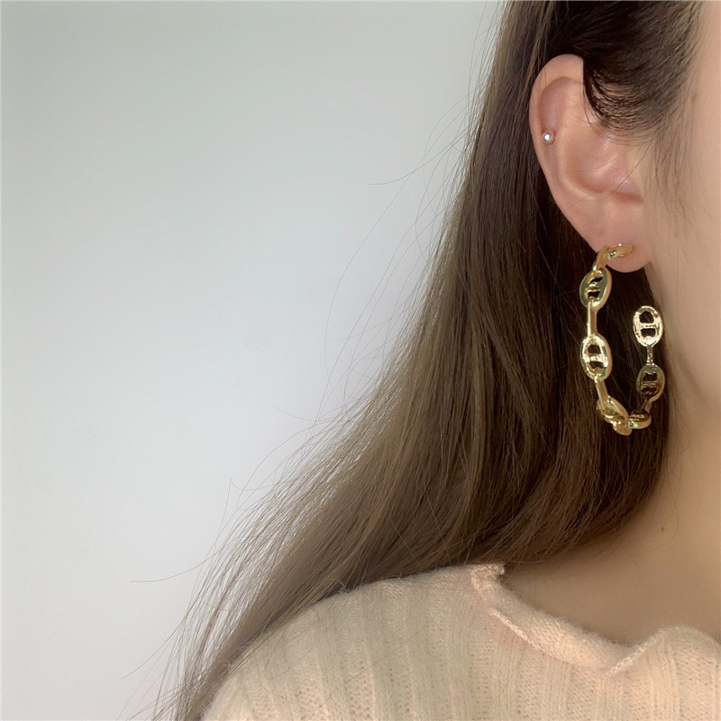 Hip-hop Pig Nostril Earrings Exaggerated Fashionable Hoop Retro C-shaped Ear Ring display picture 1