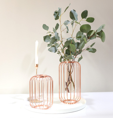 清仓处理  现代简约家居摆件试管玻璃花瓶花架插花批发金属架鸟笼