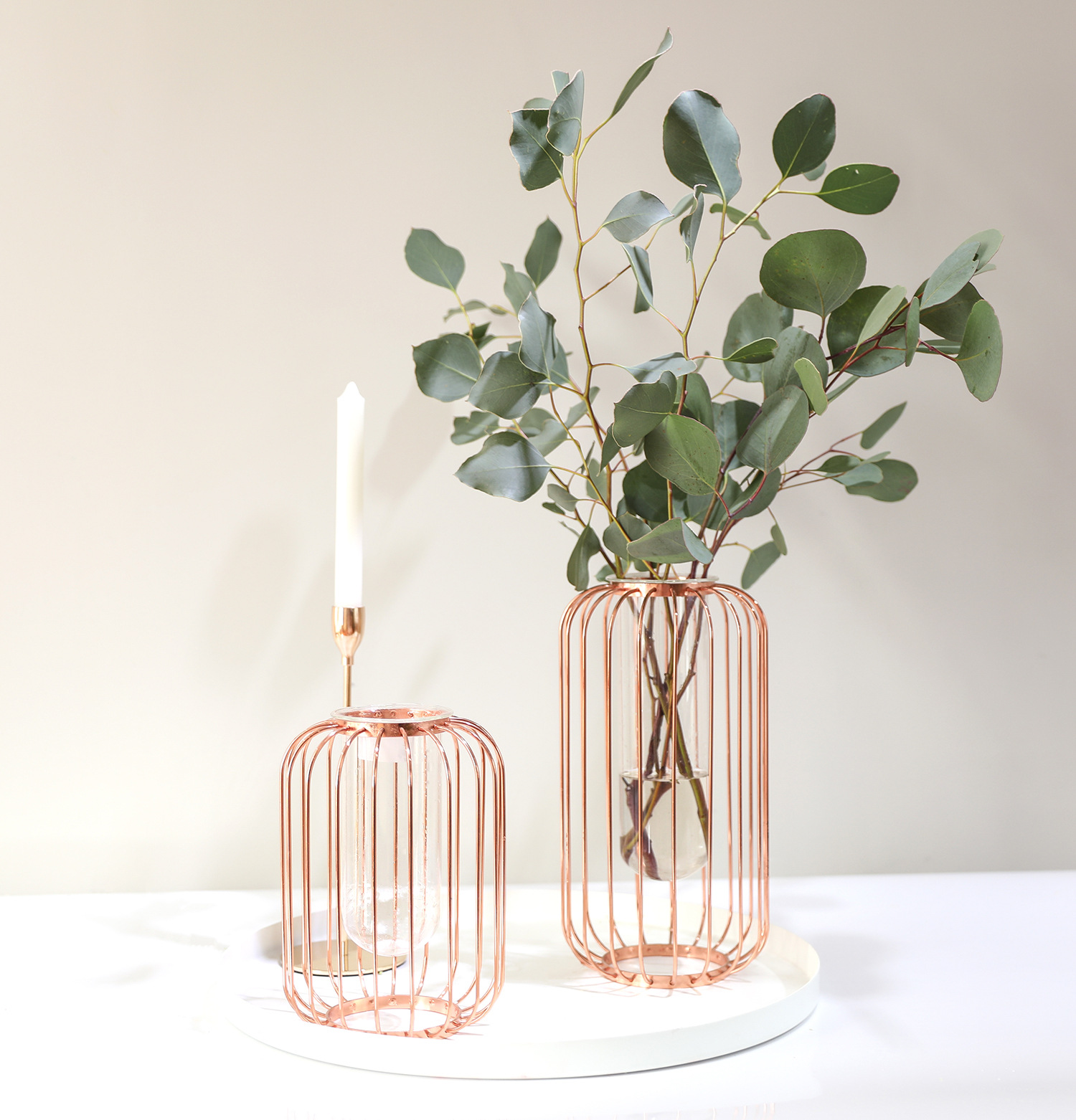 清仓处理  现代简约家居摆件试管玻璃花瓶花架插花批发金属架鸟笼