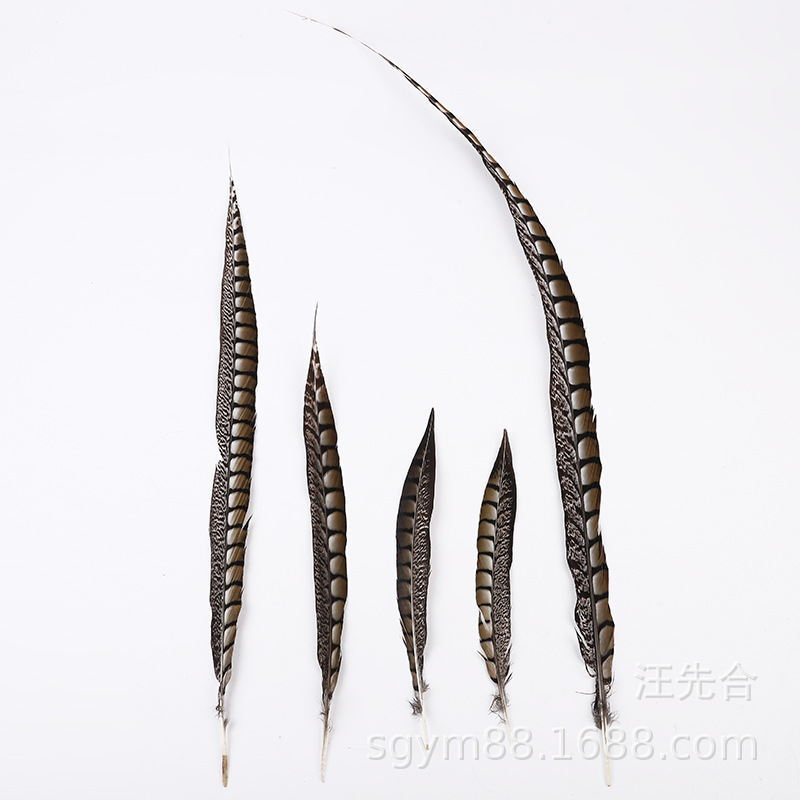 厂家直销铜鸡尾尺寸齐全.天然羽毛环保颜色多种色彩靓丽。详情图7