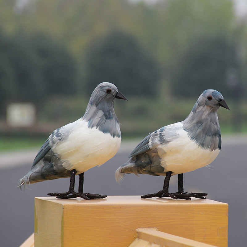 仿真灰鸽子 泡沫全身真羽毛站灰鸽家居仿生艺术装饰假鸟
