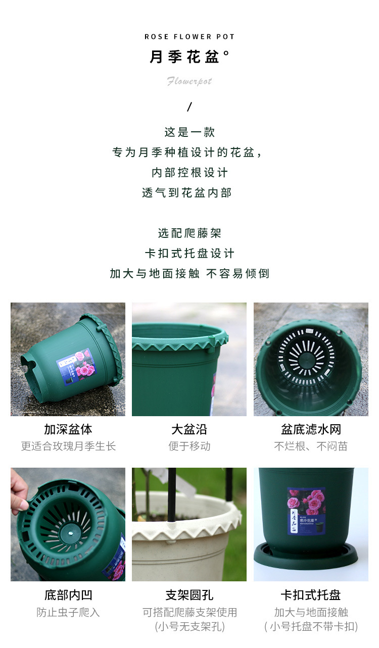 月季花盆_02.jpg