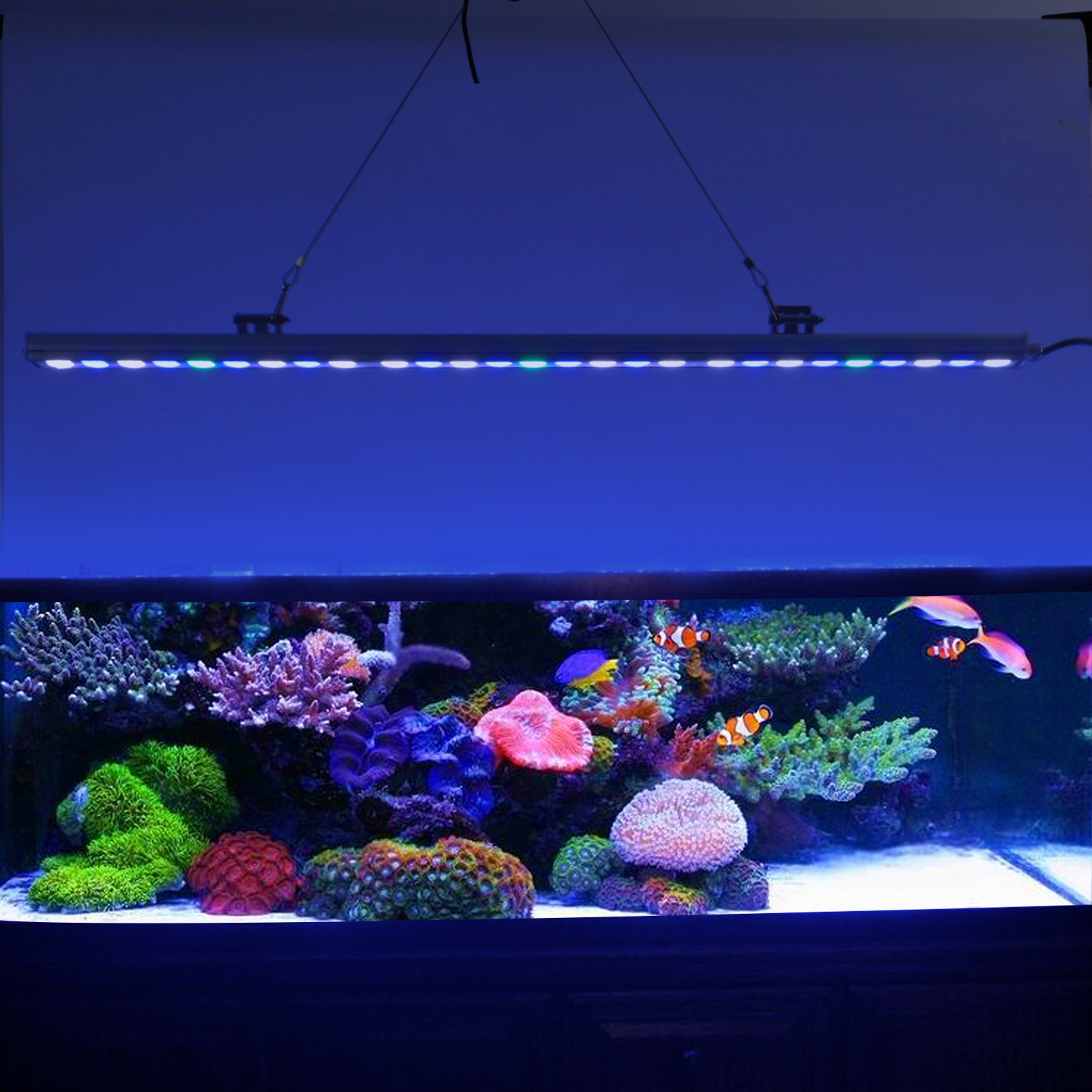 鱼缸射灯LED全光谱水草灯造景高亮筒灯小型水族箱草缸夹灯-阿里巴巴