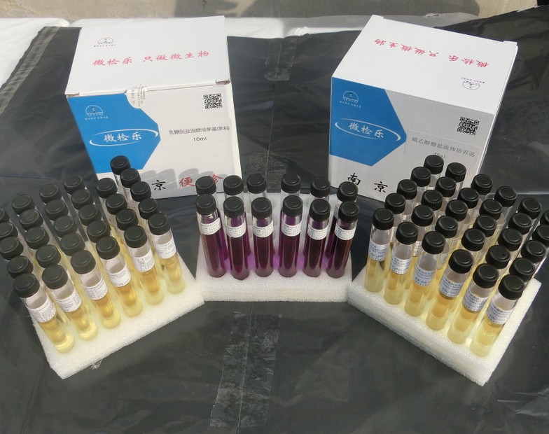 90mlSCDLP液体培养基酵母