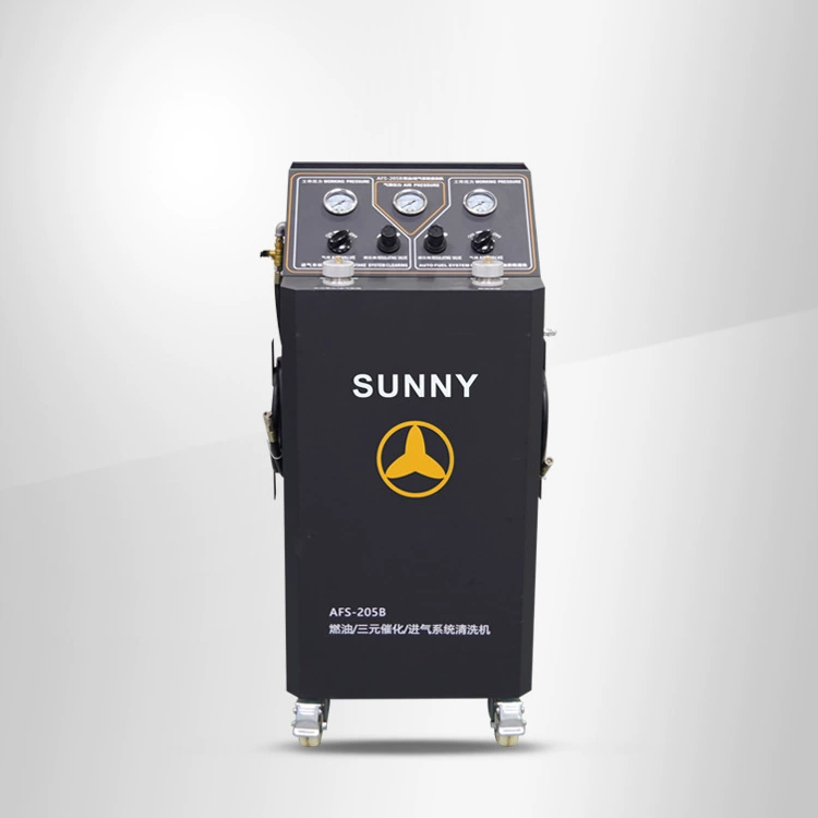 AFS-205B топливо & впускной & оборудование для очистки троичных каталитических систем/для очистки форсунки впрыска топлива/для очистки дроссельной заслонки