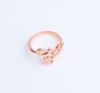 Zodiac signs, fashionable ring, accessory, Korean style, on index finger