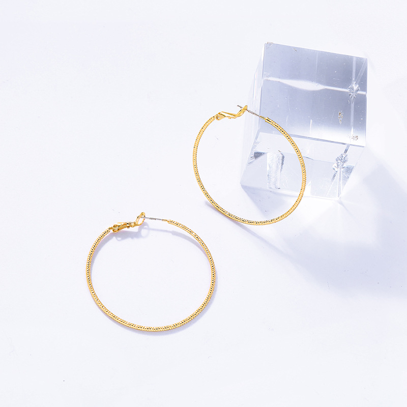 Fashion Geometric Net Red Earrings Winter New Ring Earrings Hoop Earrings display picture 5