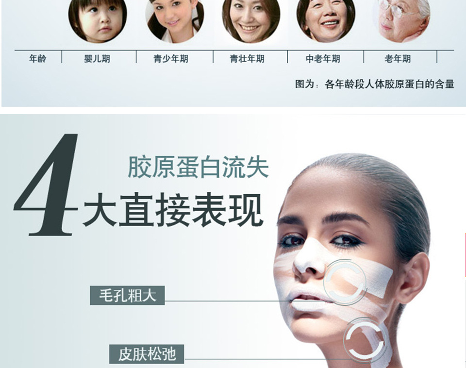 胶原蛋白-描述_05