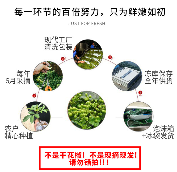 保鲜花椒说明.jpg