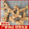 Rhizoma Polygonatum fresh fresh Tubers Chinese herbal medicines Polygonatum Wong Jing Base supply wholesale Self produced Polygonatum