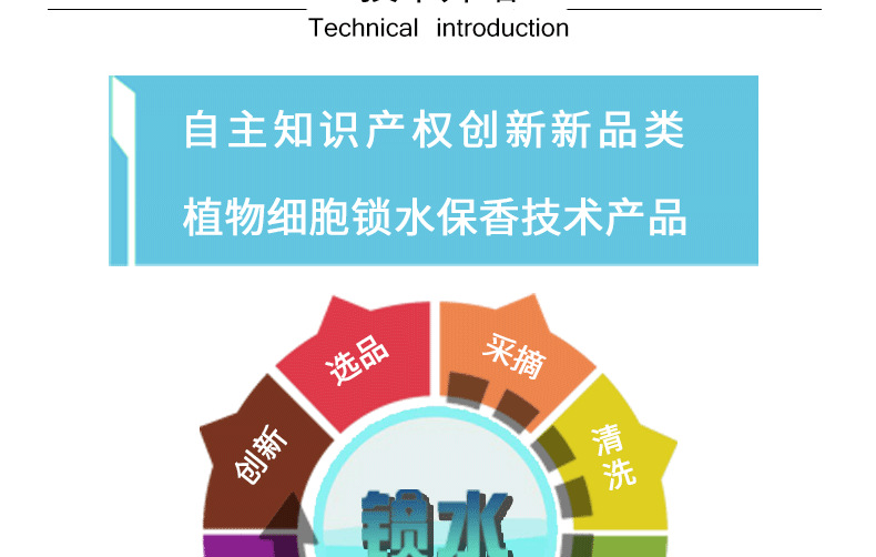 永生花首饰盒 玫瑰礼盒项链佩戴婚礼情人节礼物跨境亚马逊批发详情7