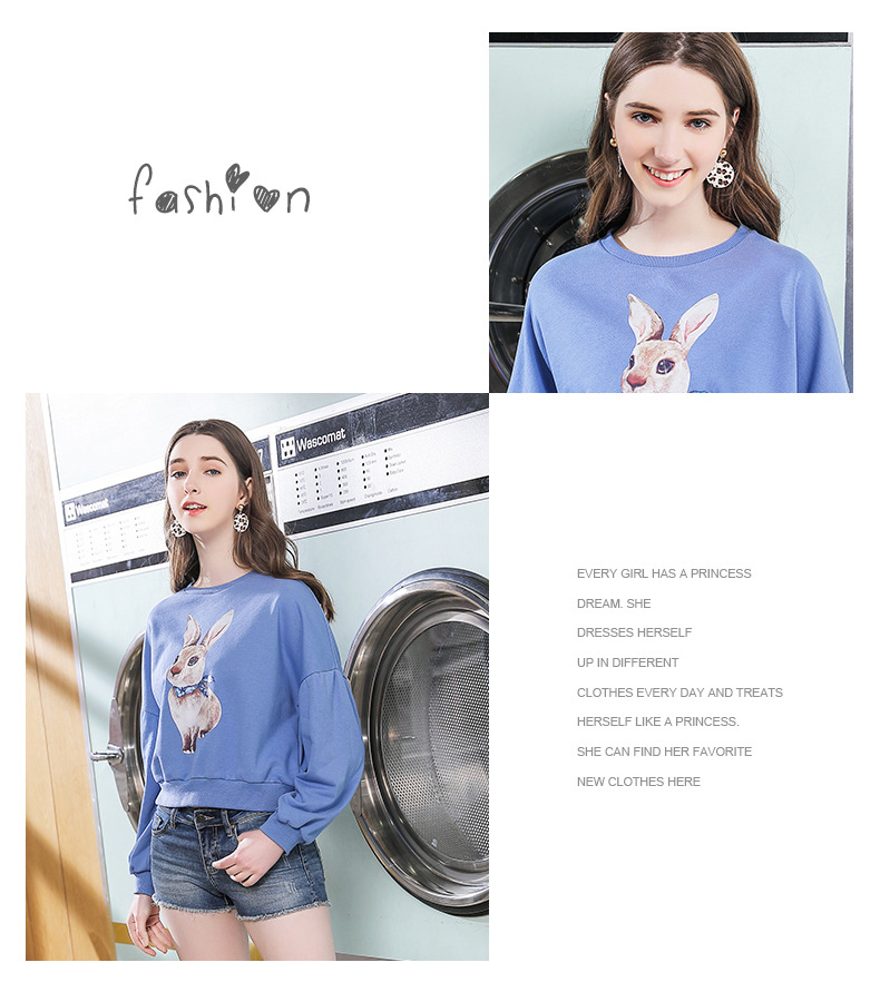 51061_15.jpg