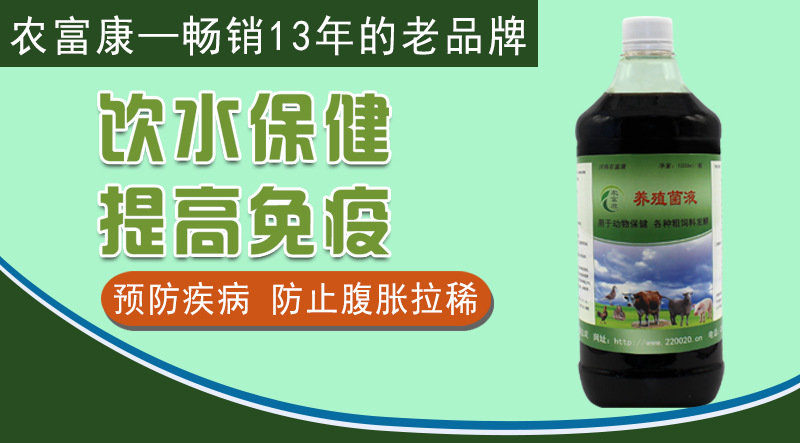 使用益生菌来养育肥猪怎么使用效果好