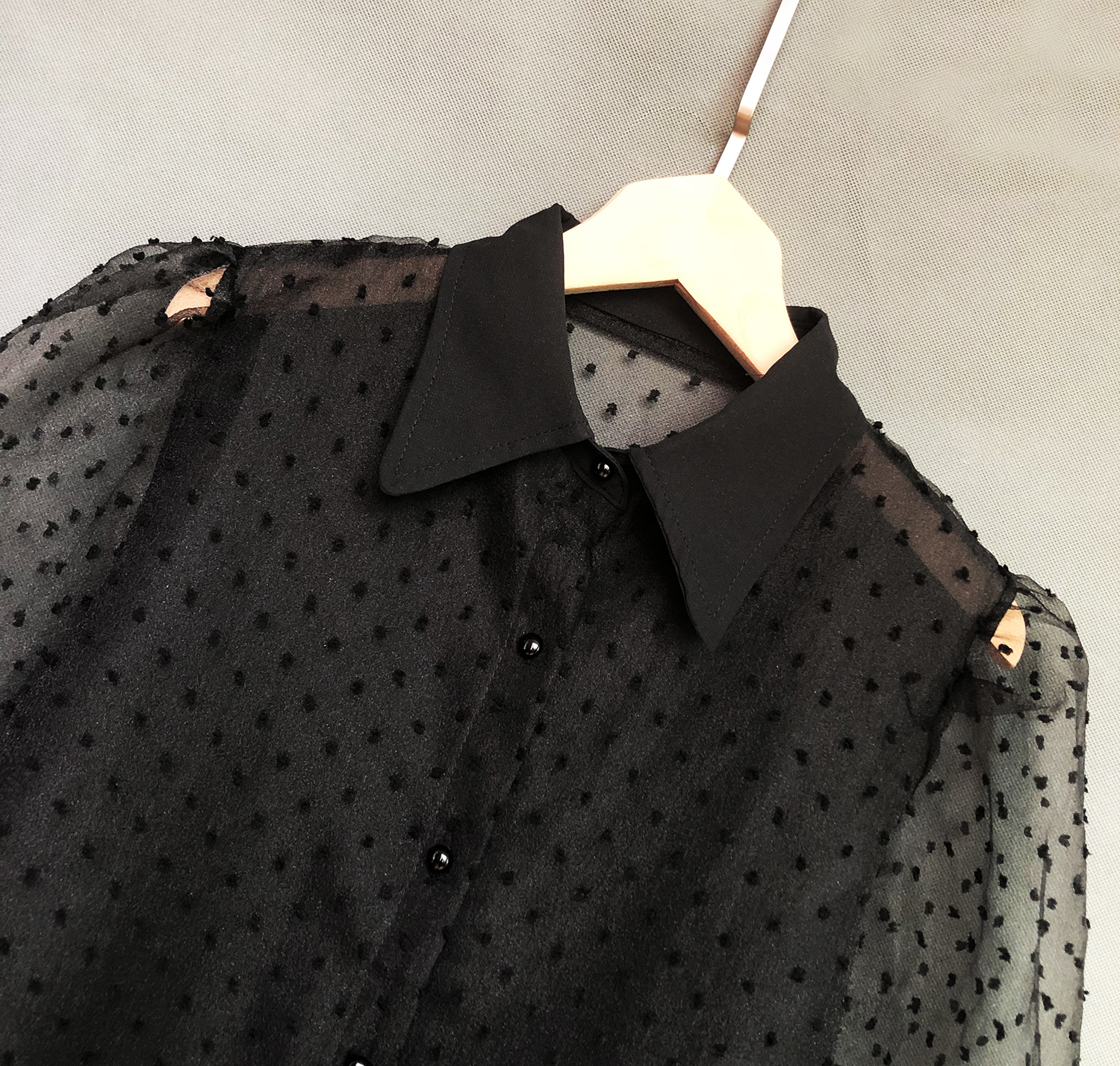 Sheer Mesh Blouse Image 1