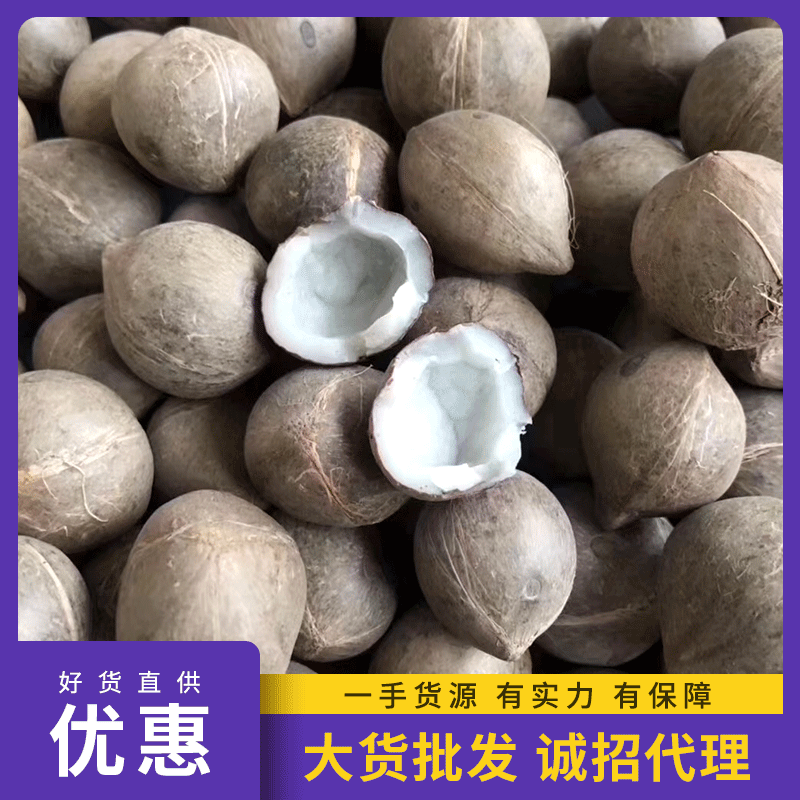 小椰子迷你椰青 非洲海椰皇小椰子酒楼炖椰子鸡汤 煲料海底椰批发