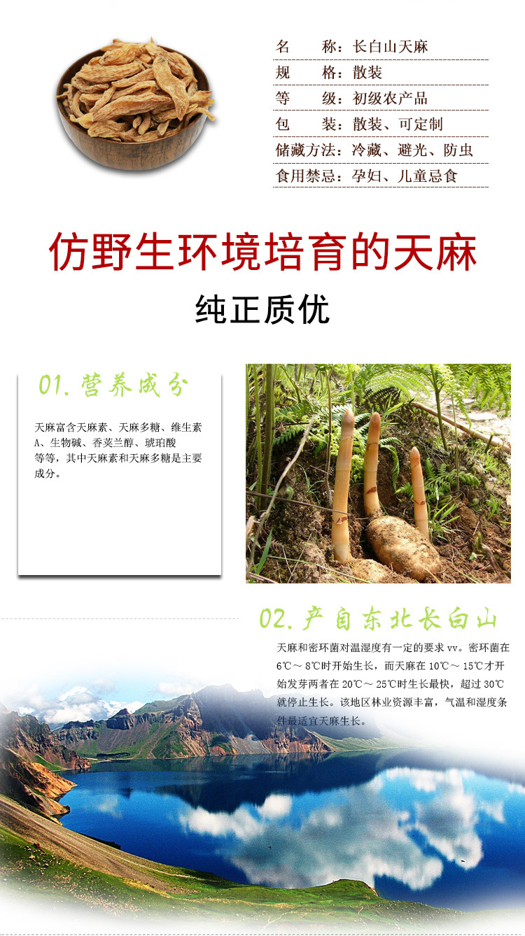 Tianma Gastrodia Root 250g Changbai Mountain Understory Cultivated Herb Slices for Decoction and Wellness in use