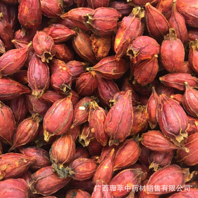 野生山 水横枝支子花 栀子花茶产地直供一手货源大货