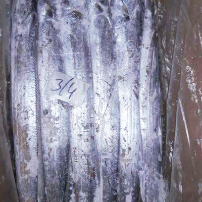 野生进口新鲜美味带鱼 新鲜冷冻深海海鲜冷冻带鱼 餐饮冷冻水产品|ru