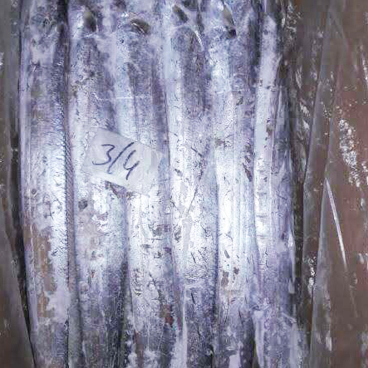 野生进口新鲜美味带鱼 新鲜冷冻深海海鲜冷冻带鱼 餐饮冷冻水产品|ru