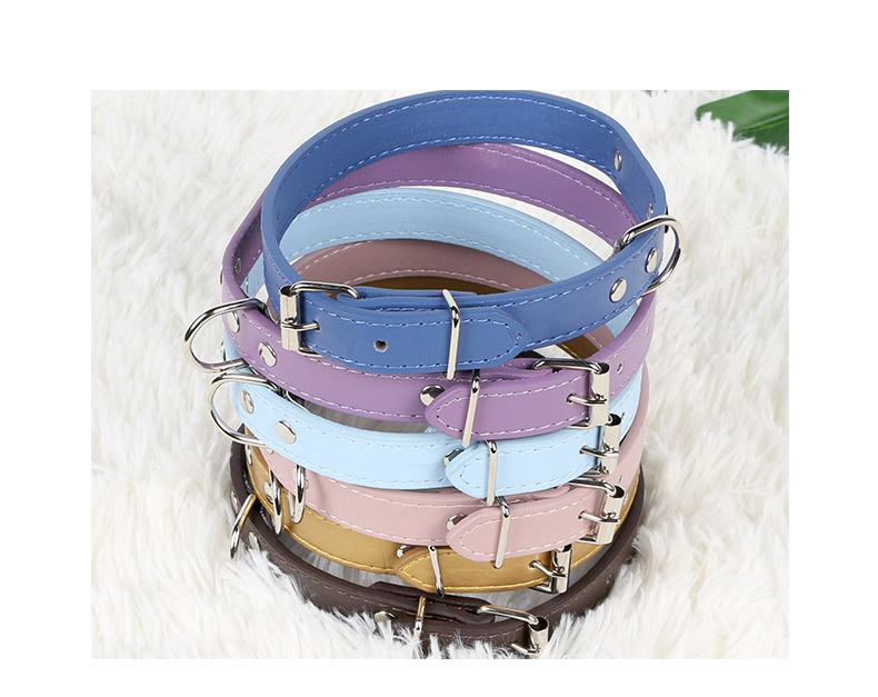 Psm Factory Direct Sales Pet Supplies Pu Leather Adjustable Collar Multiple Dog Cat Collar One Piece Dropshipping display picture 6