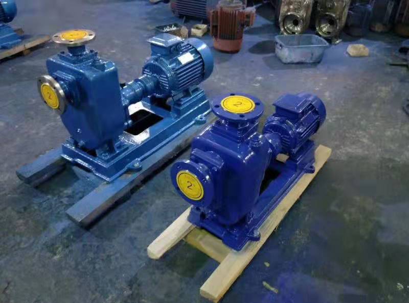 A沂洺 ZW100-80-45型卧式无堵塞排污泵 防爆自吸排污泵