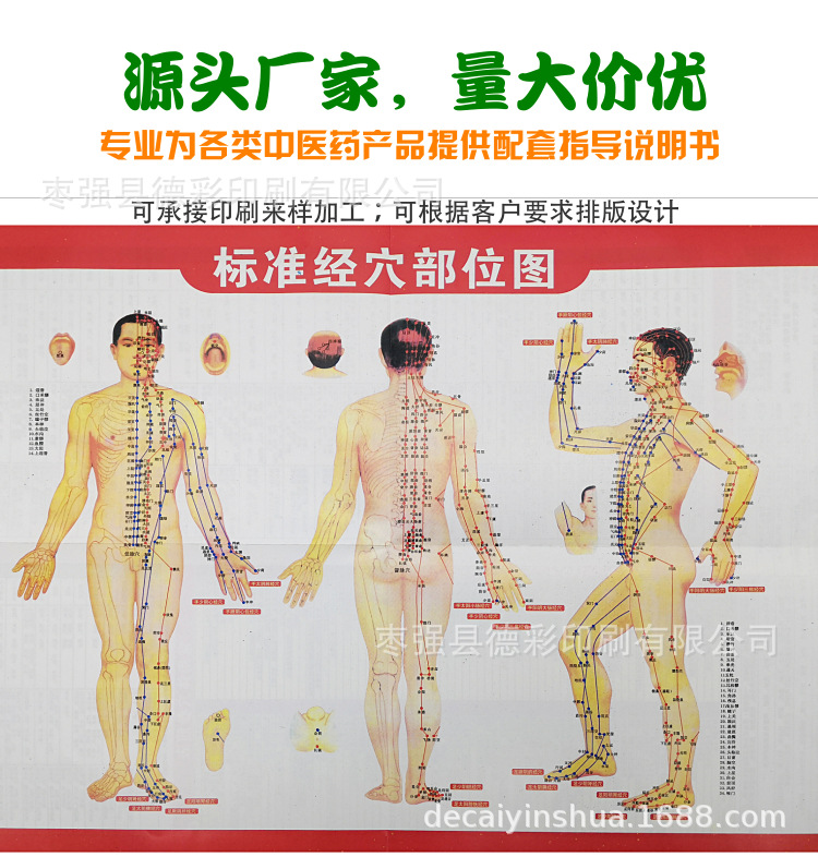 人體艾灸穴位圖 人體經絡刮痧圖 中醫理療拔罐 針灸按摩 穴位圖