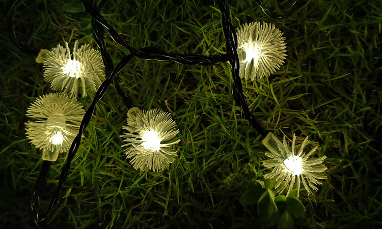 IMG_20190602_200931_副本