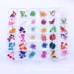 卸売りのネイルの乾いた花のアクセサリーの顔のステッカーの真の花の押し花の光の治療甲の水晶の爪の装飾の多いデザイン