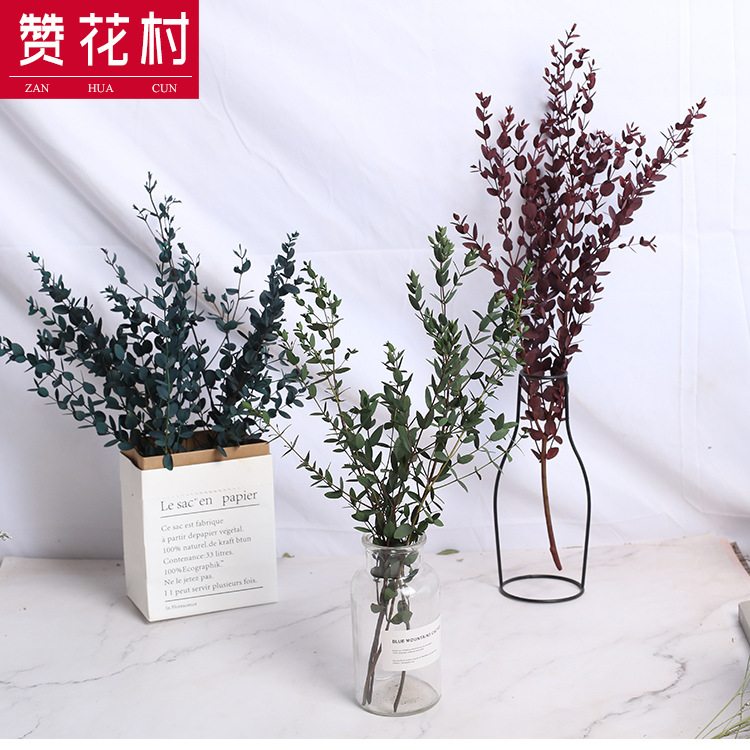Yeyongsheng Eucalyptus Yeyunnan Dried flowers Bouquet of flowers Garland Photo frame DIY Flower material Dried flowers wholesale