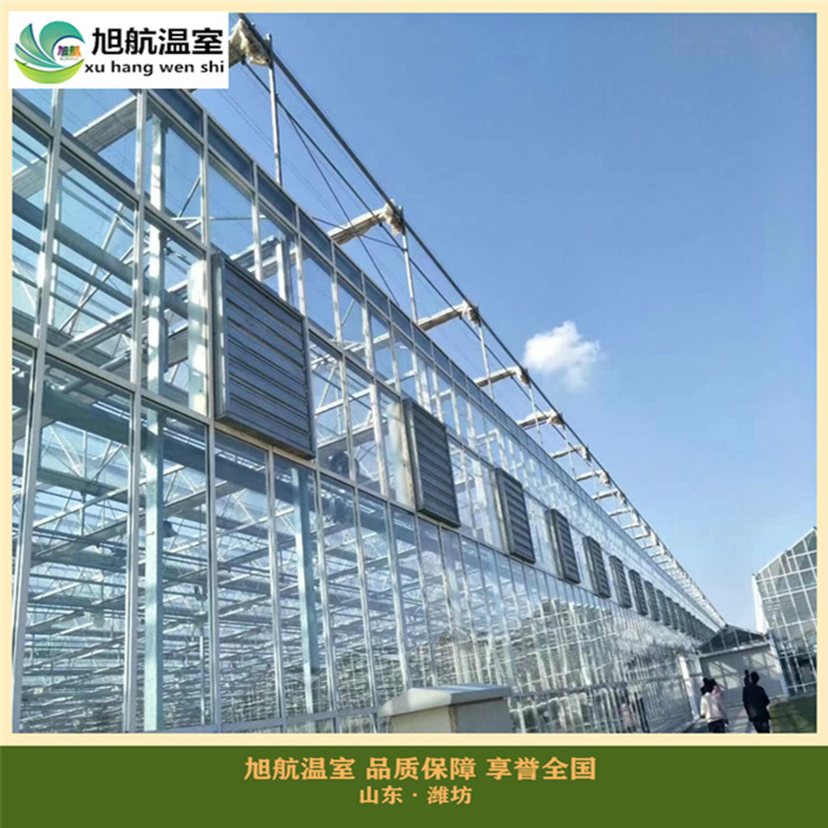 weixintupian_20190128105741_副本