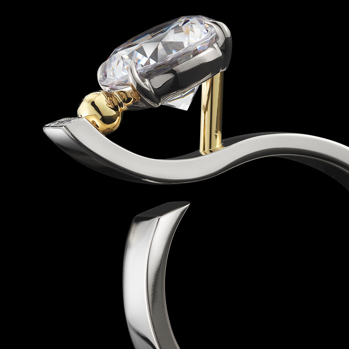 Ring Image 3