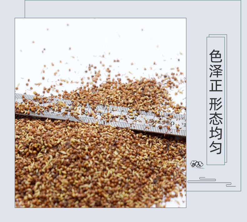 Mu Lian Zi Ficus Pumila Seeds Dried Herbal Seeds for Traditional Jelly Making 500g quality and texture
