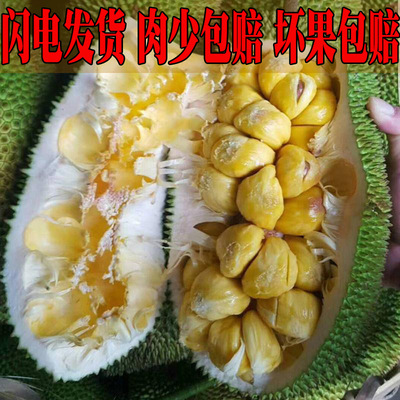 现货小珍珠蜜泰国巴掌榴莲蜜软糯香小菠萝蜜孕妇新鲜热带水果包邮|ms
