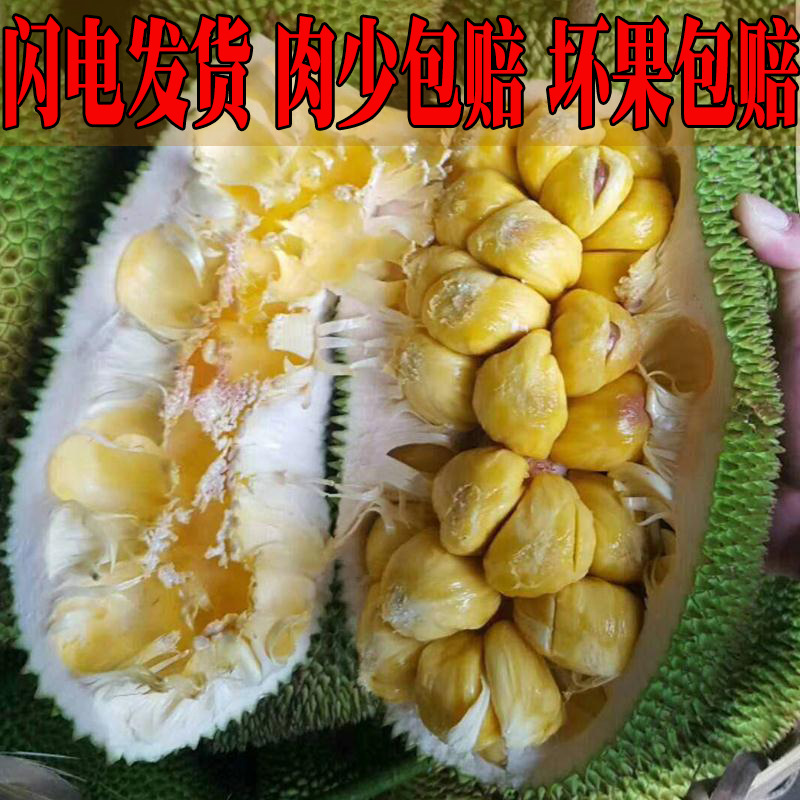现货小珍珠蜜泰国巴掌榴莲蜜软糯香小菠萝蜜孕妇新鲜热带水果包邮|ms
