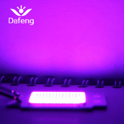 厂家定制 led植物光源 50W红加蓝光植物生长灯cob全光谱集成灯珠|ru