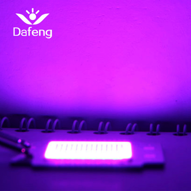 厂家定制 led植物光源 50W红加蓝光植物生长灯cob全光谱集成灯珠|ru