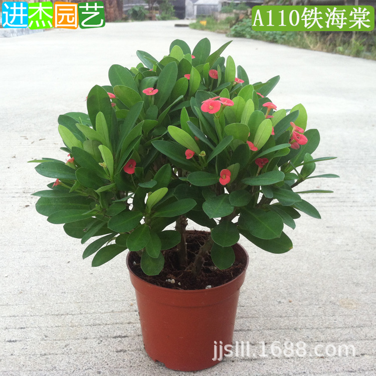 110������